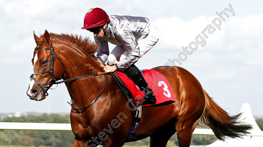 Hathal-0002 
 HATHAL (William Buick)
Sandown 19 Sep 2018 - Pic Steven Cargill / Racingfotos.com