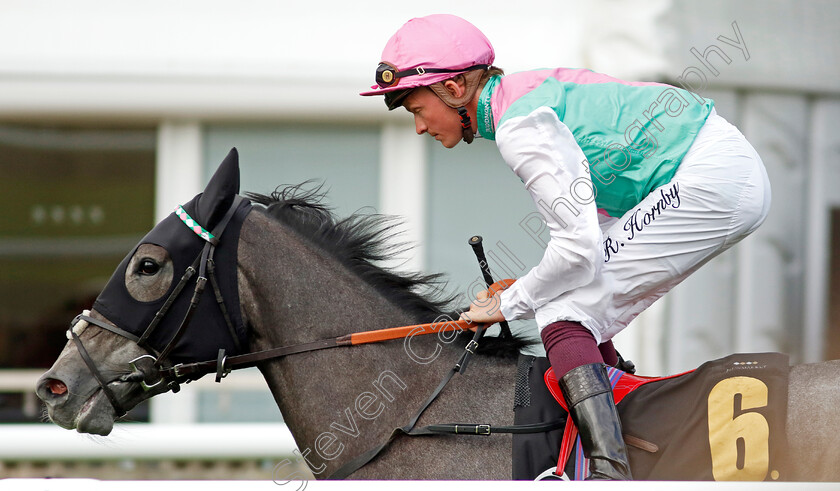 Inversion-0001 
 INVERSION (Rob Hornby)
Newmarket 28 Jun 2024 - Pic Steven Cargill / Racingfotos.com