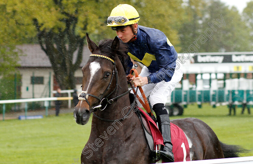 Great-Bear-0001 
 GREAT BEAR (Jason Watson)
Haydock 27 Apr 2019 - Pic Steven Cargill / Racingfotos.com