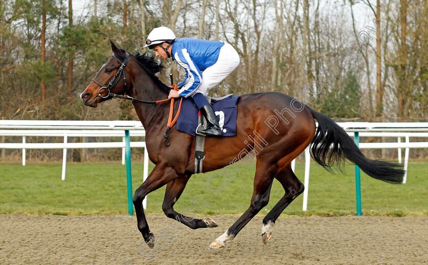 Queen-Of-Zafeen-0002 
 QUEEN OF ZAFEEN (William Buick)
Lingfield 7 Mar 2024 - Pic Steven Cargill / Racingfotos.com