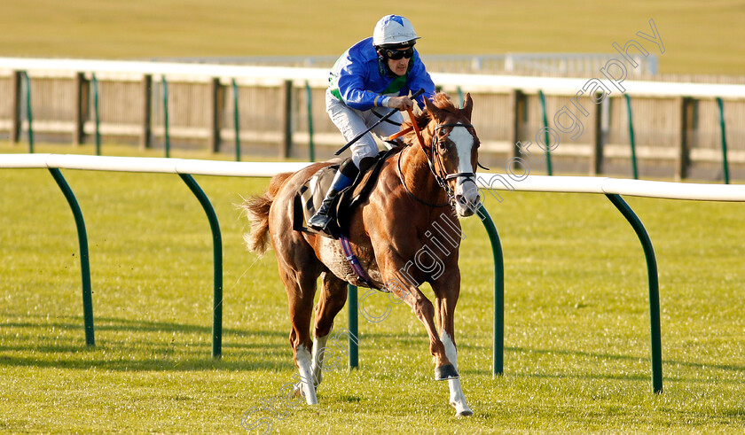 Balgair-0004 
 BALGAIR (Ross Birkett) wins The Close Brothers Invoice Finance Amateur Jockeys Cambridgeshire Handicap
Newmarket 19 Sep 2020 - Pic Steven Cargill / Racingfotos.com