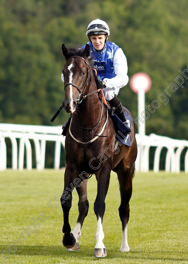 Punchbowl-Flyer-0001 
 PUNCHBOWL FLYER (Charles Bishop)
Chepstow 2 Jul 2019 - Pic Steven Cargill / Racingfotos.com