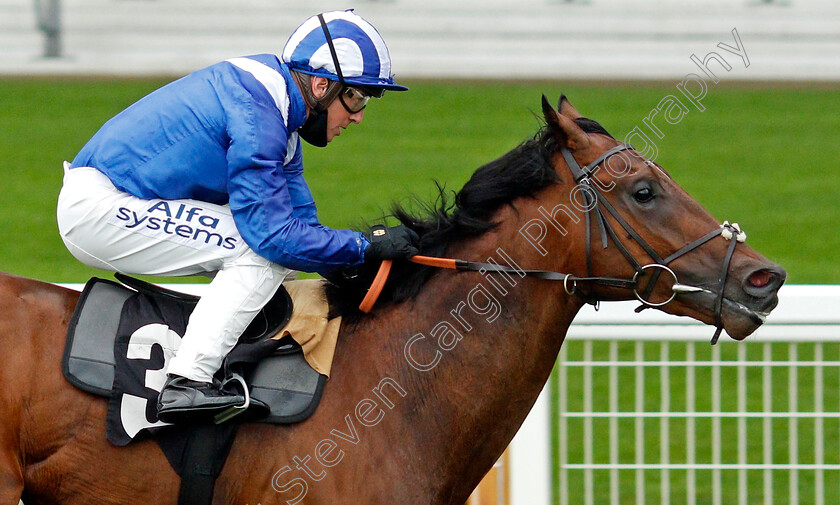 Raaeq-0004 
 RAAEQ (Jim Crowley) wins The Racing Welfare Handicap
Ascot 2 Oct 2020 - Pic Steven Cargill / Racingfotos.com