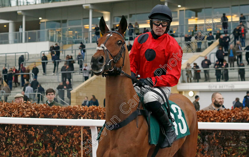 Magic-Seven-0001 
 MAGIC SEVEN (Richie McLernon)
Cheltenham 14 Dec 2024 - Pic Steven Cargill / Racingfotos.com