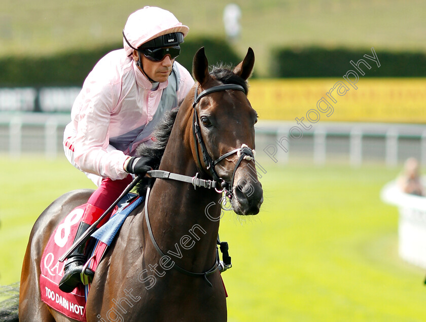 Too-Darn-Hot-0001 
 TOO DARN HOT (Frankie Dettori) before The Qatar Sussex Stakes
Goodwood 31 Jul 2019 - Pic Steven Cargill / Racingfotos.com