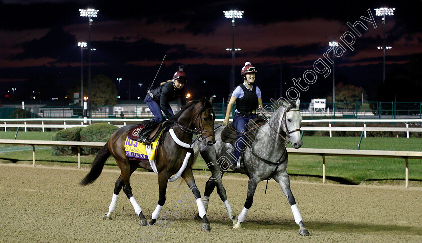 Catholic-Boy-0002 
 CATHOLIC BOY exercising ahead of The Breeders' Cup Classic
Churchill Downs USA 31 Oct 2018 - Pic Steven Cargill / Racingfotos.com