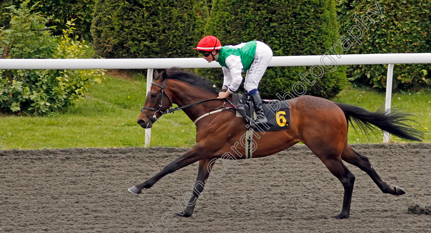 Stockpyle-0003 
 STOCKPYLE (Jack Doughty) wins The Try Unibet's New Acca Boosts Apprentice Handicap
Kempton 12 Jun 2024 - Pic Steven Cargill / Racingfotos.com