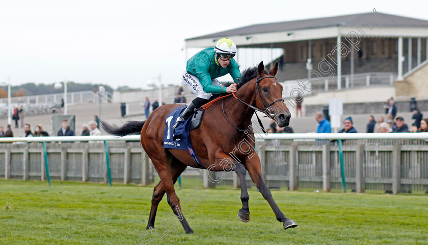 Trefoil-0004 
 TREFOIL (Richard Kingscote) wins The Matchbook EBF Future Stayers Novice Stakes
Newmarket 23 Oct 2019 - Pic Steven Cargill / Racingfotos.com