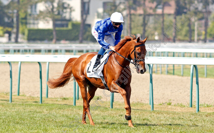 Space-Blues-0002 
 SPACE BLUES (William Buick) before winning The Prix Maurice De Gheest
Deauville 9 Aug 2020 - Pic Steven Cargill / Racingfotos.com