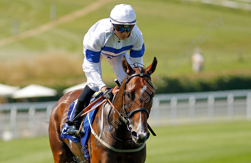 Loyal-Touch-0001 
 LOYAL TOUCH (Vincent Ho)
Goodwood 30 Jul 2024 - Pic Steven Cargill / Racingfotos.com