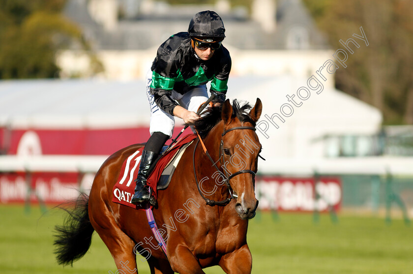 River-Of-Stars-0002 
 RIVER OF STARS (T Bachelot)
Longchamp 5 Oct 2034 - Pic Steven Cargill / Racingfotos.com