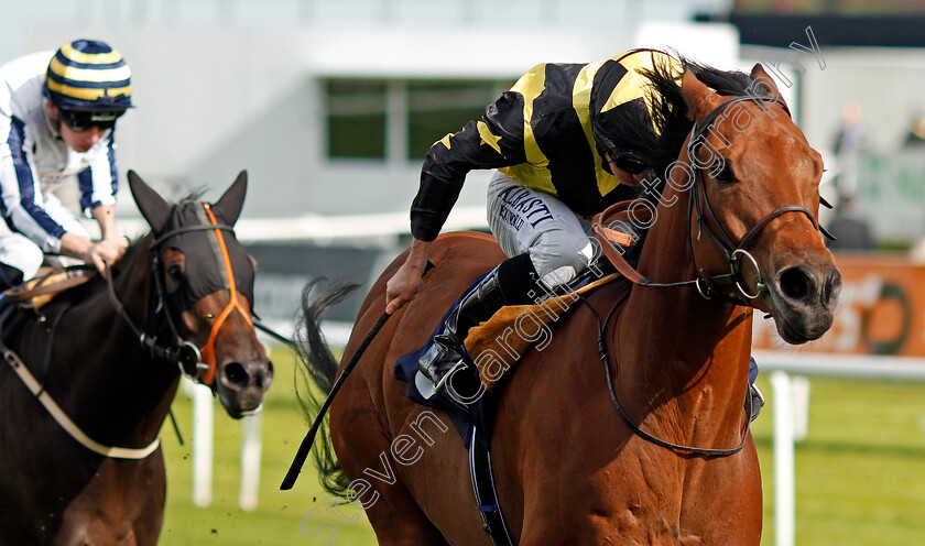 Encore-D Or-0003 
 ENCORE D'OR (Ryan Moore) wins The Pepsi Max Scarbrough Stakes Doncaster 13 Sep 2017 - Pic Steven Cargill / Racingfotos.com