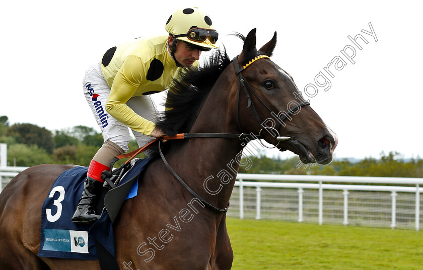 Fifth-Position-0001 
 FIFTH POSITION (Andrea Atzeni)
Goodwood 24 May 2019 - Pic Steven Cargill / Racingfotos.com