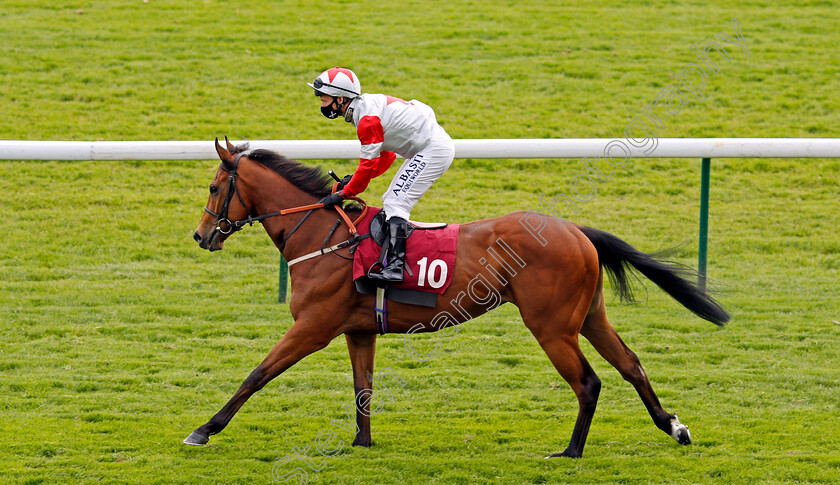 Pivoting-0001 
 PIVOTING (David Allan) 
Haydock 29 May 2021 - Pic Steven Cargill / Racingfotos.com