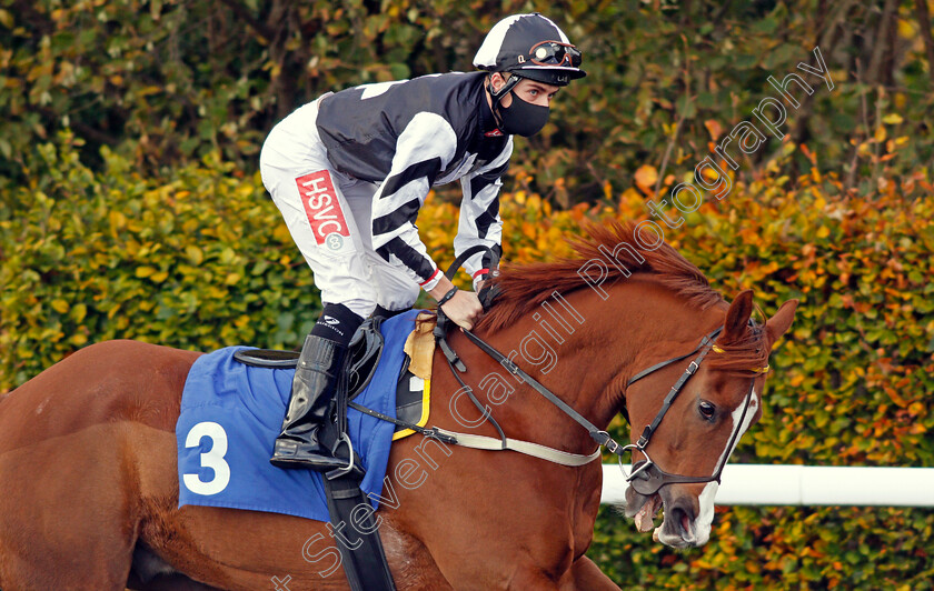 Oud-Metha-Bridge-0001 
 OUD METHA BRIDGE (Tyler Heard)
Kempton 2 Nov 2020 - Pic Steven Cargill / Racingfotos.com