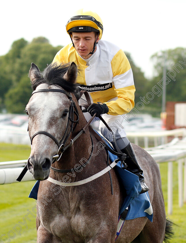 Amadeus-Grey-0001 
 AMADEUS GREY (David Allan)
York 17 May 2018 - Pic Steven Cargill / Racingfotos.com