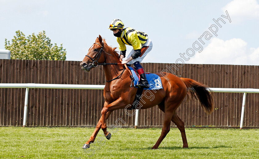 Sed-Maarib-0001 
 SED MAARIB (David Egan)
Leicester 1 Jun 2021 - Pic Steven Cargill / Racingfotos.com