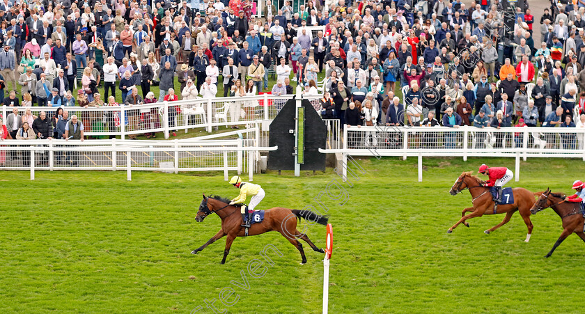 Tajanis-0001 
 TAJANIS (Cieren Fallon) wins The Moulton Nurseries Handicap
Yarmouth 21 Sep 2023 - Pic Steven Cargill / Racingfotos.com