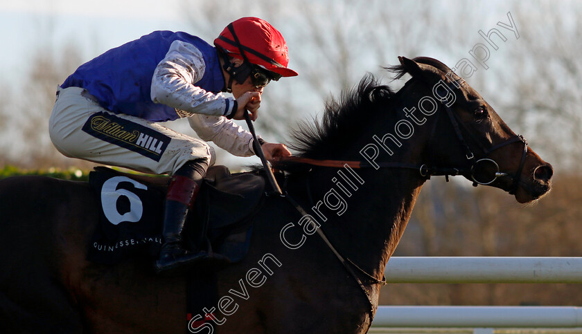 Regal-Renaissance-0001 
 REGAL RENAISSANCE (Sam Twiston-Davies)
Cheltenham 14 Dec 2024 - Pic Steven Cargill / Racingfotos.com