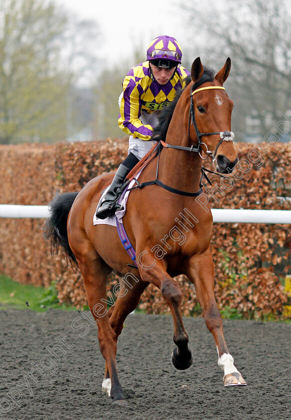 Pilot-Wings-0001 
 PILOT WINGS (Kieran Shoemark) Kempton 11 Apr 2018 - Pic Steven Cargill / Racingfotos.com