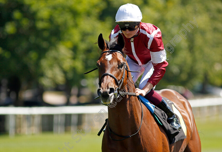 Al-Hajaj 
 AL HAJAJ (Rob Hornby)
Newmarket 8 Jul 2022 - Pic Steven Cargill / Racingfotos.com