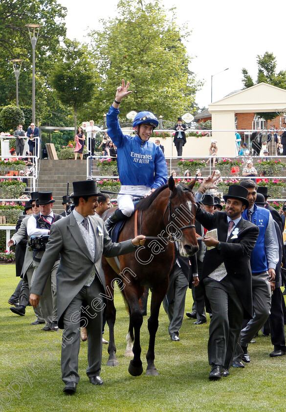 Blue-Point-0008 
 BLUE POINT (James Doyle) after The Diamond Jubilee Stakes
Royal Ascot 22 Jun 2019 - Pic Steven Cargill / Racingfotos.com