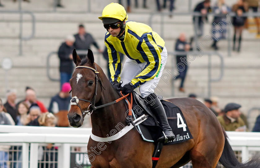 Peaky-Boy-0003 
 PEAKY BOY (Nico de Boinville) winner of the mallardjewellers.com Novices Handicap Chase
Cheltenham 17 Nov 2024 - Pic Steven Cargill / racingfotos.com