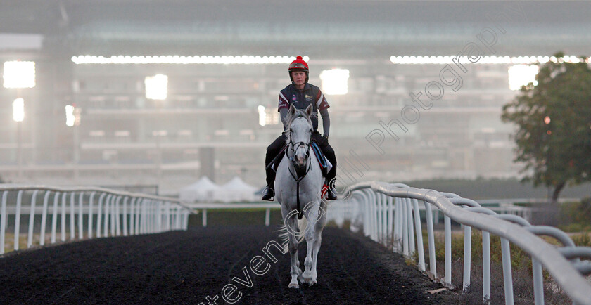 Lord-Glitters-0004 
 LORD GLITTERS training for The Dubai Turf
Meydan, Dubai, 24 Mar 2022 - Pic Steven Cargill / Racingfotos.com