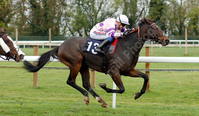 Divin-Bere-0005 
 DIVIN BERE (Megan Nicholls) wins The Octagon Consultancy Handicap
Bath 17 Oct 2018 - Pic Steven Cargill / Racingfotos.com