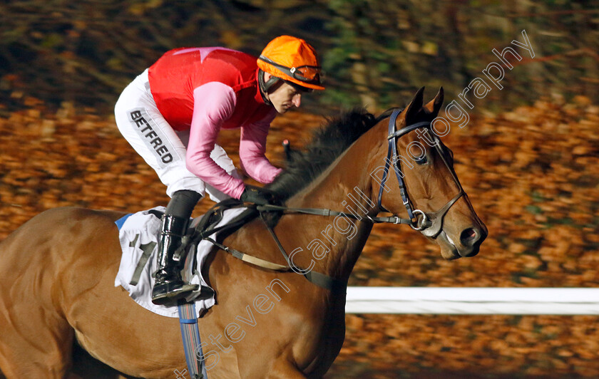 Advindi-0001 
 ADVINDI (Richard Kingscote)
Kempton 6 Dec 2023 - Pic Steven Cargill / Racingfotos.com