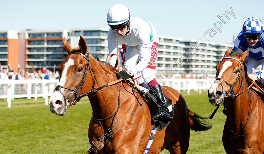 Shailene-0004 
 SHAILENE (Oisin Murphy) wins The Dubai Duty Free Handicap
Newbury 20 Sep 2019 - Pic Steven Cargill / Racingfotos.com