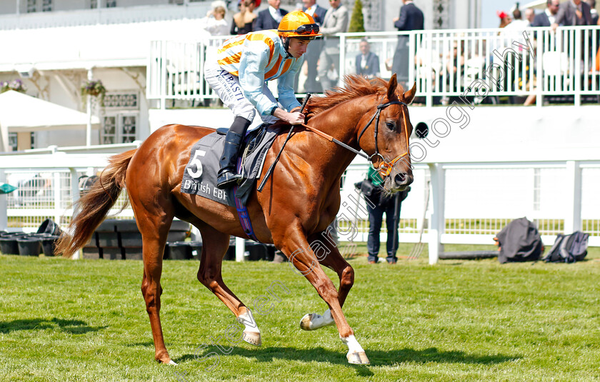 The-Camden-Colt-0001 
 THE CAMDEN COLT (Ryan Moore)
Epsom 2 Jun 2023 - Pic Steven Cargill / Racingfotos.com