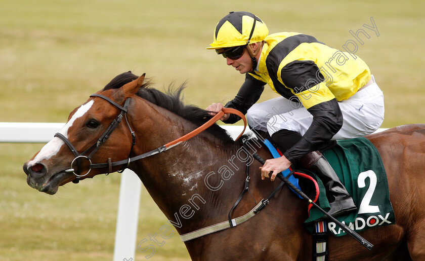 Haddaf-0007 
 HADDAF (James Doyle) wins The Randox Health Scurry Stakes
Sandown 16 Jun 2018