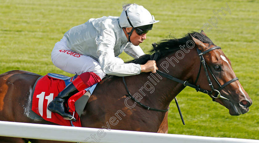 Palace-Pier-0009 
 PALACE PIER (Frankie Dettori) wins The Betway British EBF Maiden Stakes
Sandown 30 Aug 2019 - Pic Steven Cargill / Racingfotos.com