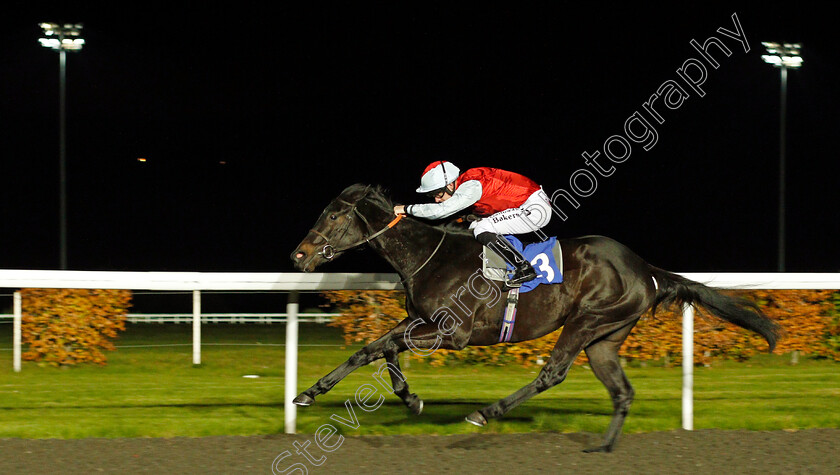 Cecchini-0004 
 CECCHINI (Richard Kingscote) wins The 100% Profit Boost At 32Redsport.com EBF Fillies Novice Stakes Div2 Kempton 8 Nov 2017 - Pic Steven Cargill / Racingfotos.com