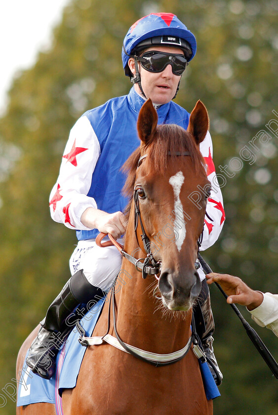 Fantastic-Blue-0003 
 FANTASTIC BLUE (Pat Cosgrave) before winning The Welcomm Communications And Technology Solutions Handicap
Leicester 10 Sep 2019 - Pic Steven Cargill / Racingfotos.com