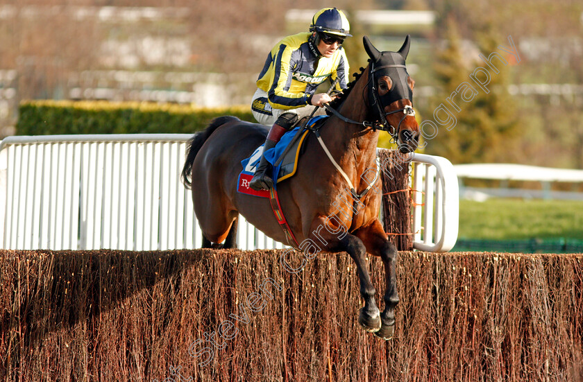 Good-Boy-Bobby-0002 
 GOOD BOY BOBBY (San Twiston-Davies)
Cheltenham 14 Dec 2019 - Pic Steven Cargill / Racingfotos.com