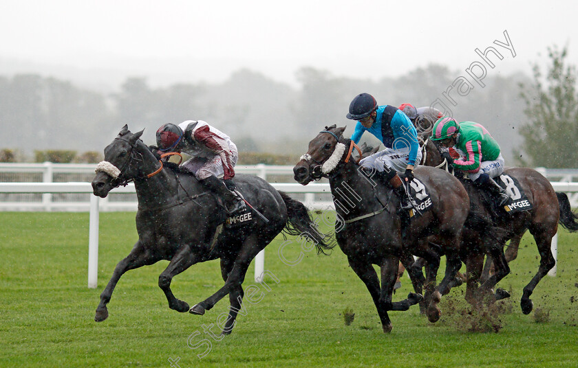 Boundless-Power-0002 
 BOUNDLESS POWER (Rossa Ryan) beats REBEL AT DAWN (right) in The McGee Group Handicap
Ascot 2 Oct 2021 - Pic Steven Cargill / Racingfotos.com