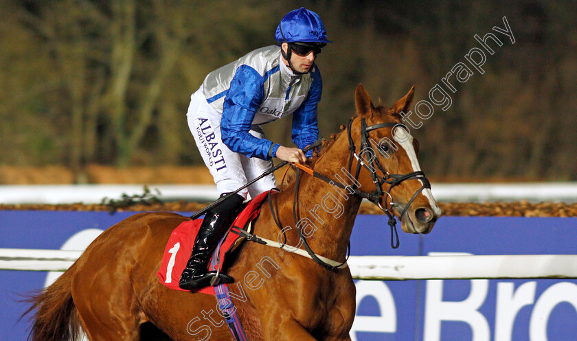 L Enclume-0002 
 L'ENCLUME (Jack Mitchell)
Kempton 16 Feb 2022 - Pic Steven Cargill / Racingfotos.com