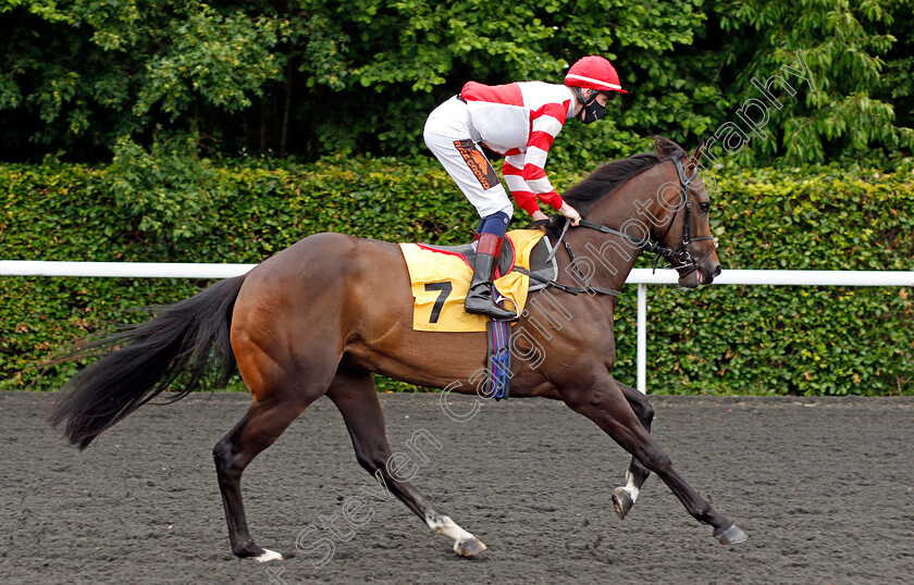 Swiss-Rowe-0001 
 SWISS ROWE (David Egan)
Kempton 2 Jun 2021 - Pic Steven Cargill / Racingfotos.com