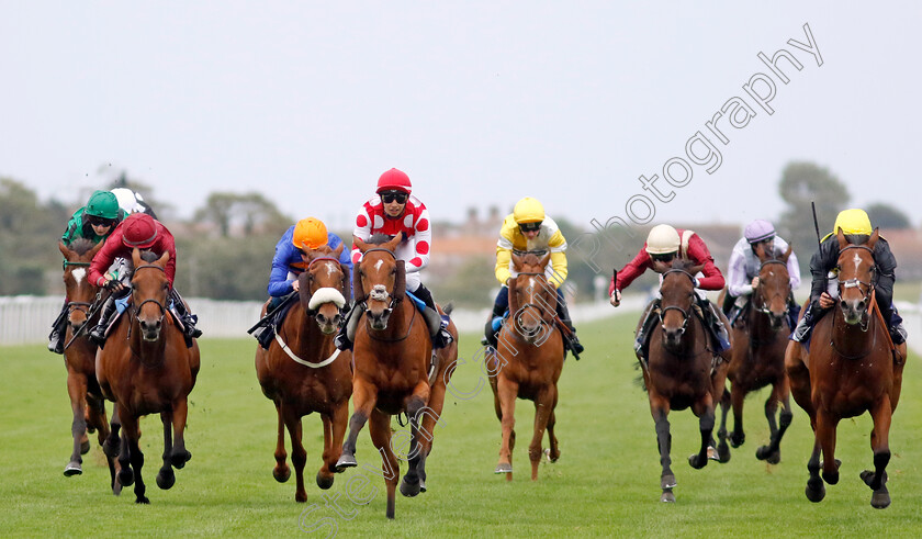 Wynter-Wildes-0004 
 WYNTER WILDES (centre, Mikkel Mortensen) beats DIVYA (left) and SHAZAM (right) in The British EBF Premier Fillies Handicap
Yarmouth 20 Sep 2023 - Pic Steven Cargill / Racingfotos.com