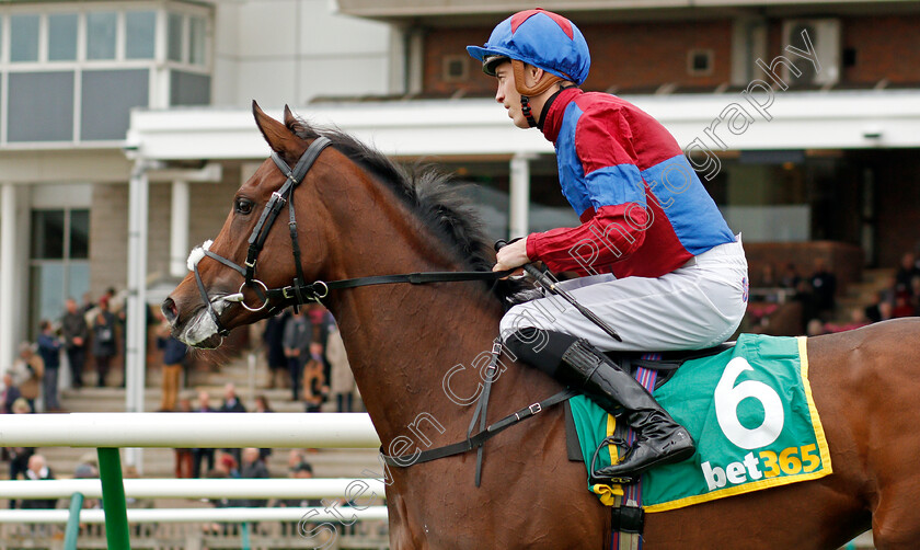 Powerful-Breeze-0003 
 POWERFUL BREEZE (James Doyle)
Newmarket 11 Oct 2019 - Pic Steven Cargill / Racingfotos.com