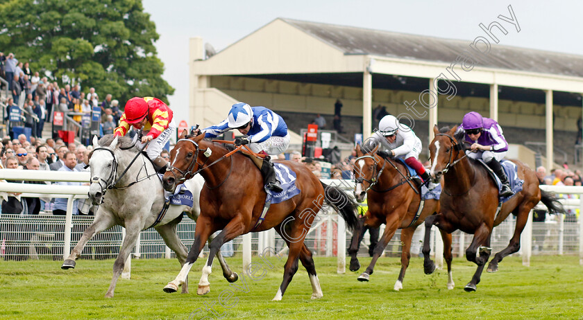 The-Foxes-0008 
 THE FOXES (Oisin Murphy) beats WHITE BIRCH (left) in The Al Basti Equiworld Dubai Dante Stakes
York 18 May 2023 - Pic Steven Cargill / Racingfotos.com