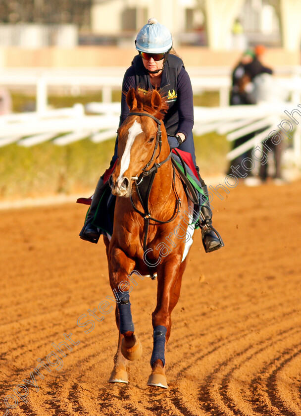 Nayef-Road-0002 
 NAYEF ROAD training for The Turf Handicap
King Abdulaziz Racetrack, Riyadh, Saudi Arabia 23 Feb 2022 - Pic Steven Cargill / Racingfotos.com