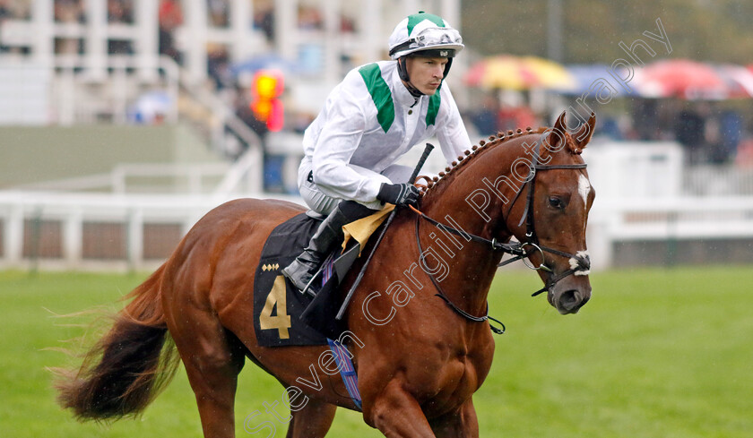 Mina-Rashid-0001 
 MINA RASHID (Richard Kingscote)
Nottingham 11 Oct 2023 - Pic Steven Cargill / Racingfotos.com