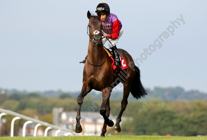 Calculation-0003 
 CALCULATION (Ryan Moore)
Sandown 9 Aug 2018 - Pic Steven Cargill / Racingfotos.com