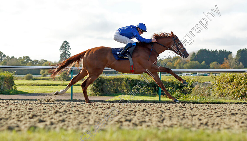 Modern-News-0005 
 MODERN NEWS (William Buick) wins The Mansionbet Beaten By A Head Handicap
Lingfield 28 Oct 2021 - Pic Steven Cargill / Racingfotos.com