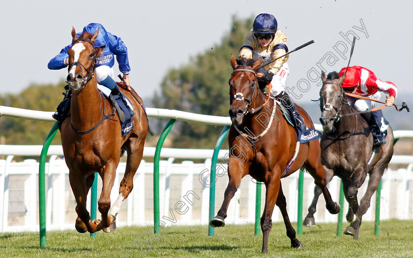 Tempus-0004 
 TEMPUS (right, Hollie Doyle) beats MODERN NEWS (left) in The Tattersalls Sovereign Stakes
Salisbury 11 Aug 2022 - Pic Steven Cargill / Racingfotos.com