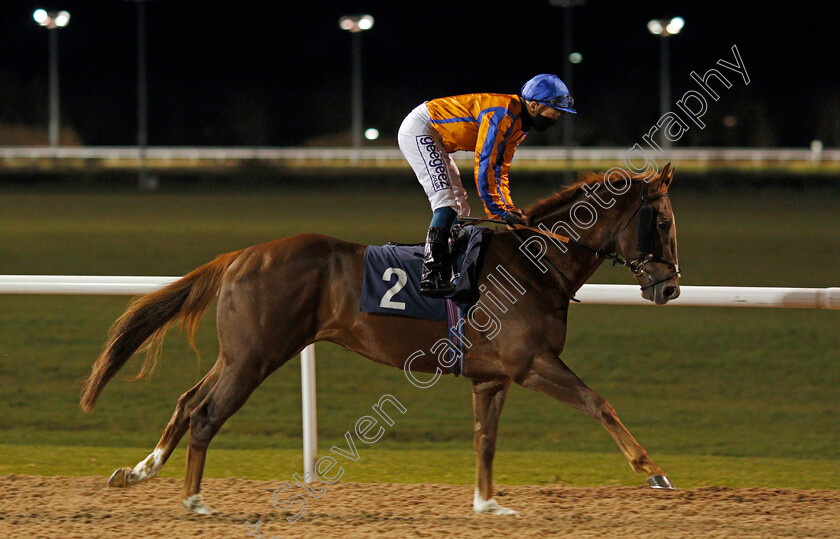 Million-Reasons-0001 
 MILLION REASONS (David Probert)
Wolverhampton 11 Jan 2021 - Pic Steven Cargill / Racingfotos.com