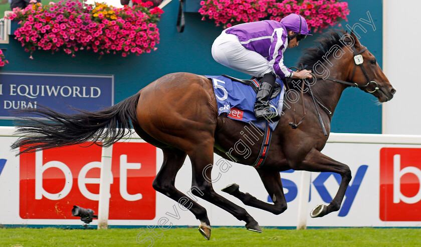 Continuous-0001 
 CONTINUOUS (Ryan Moore) wins The Sjy Bet Great Voltigeur Stakes
York 23 Aug 2023 - Pic Steven Cargill / Racingfotos.com